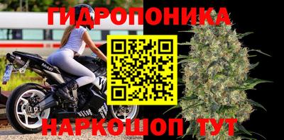 a pvp Пугачёв